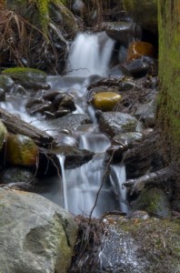 Trickling Stream 198x300