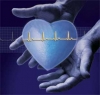 5 Things To Keep Out of Your Heart