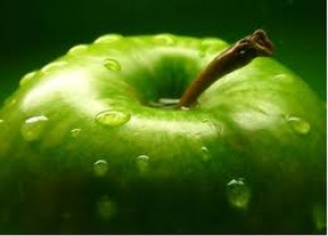 Trees Come Before Apples