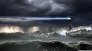 Surviving The Storm